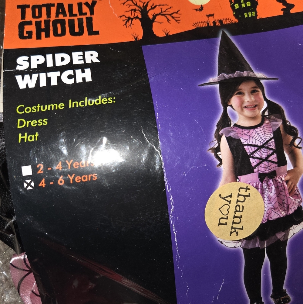 Totally Ghoul Spider Witch Costume - Pink and Black